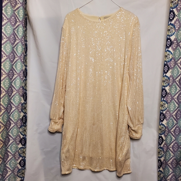 H&M Dresses & Skirts - H&M Longsleeve Sequin Dress
